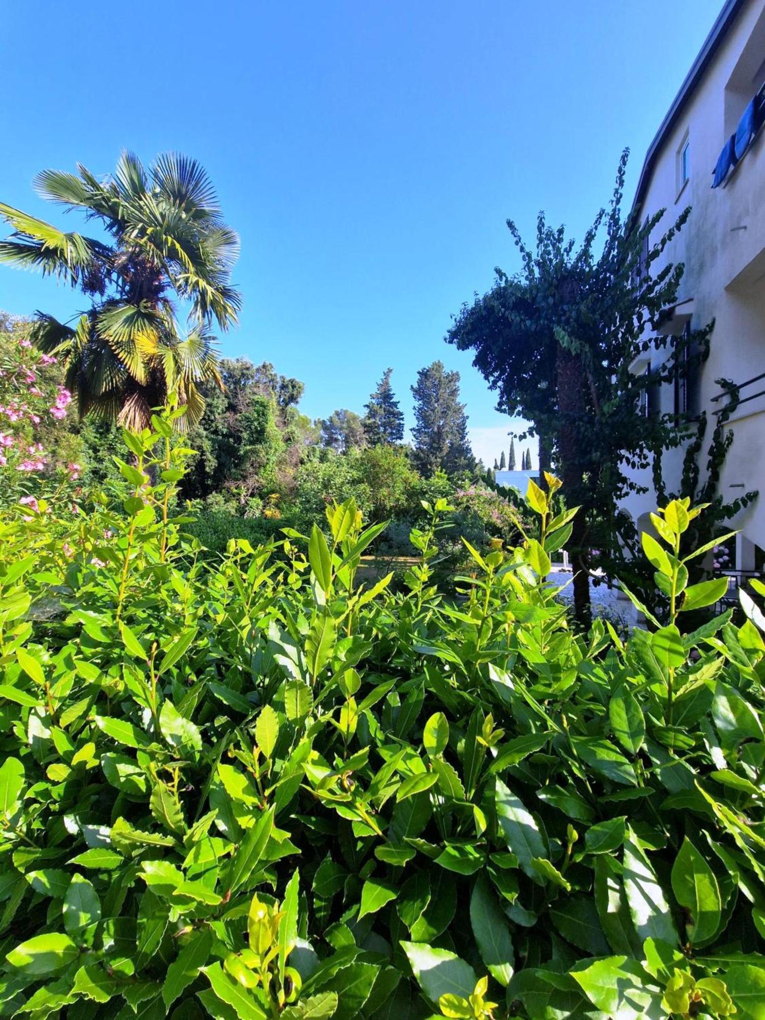 Molo View Apartment Rovinj Dış mekan fotoğraf