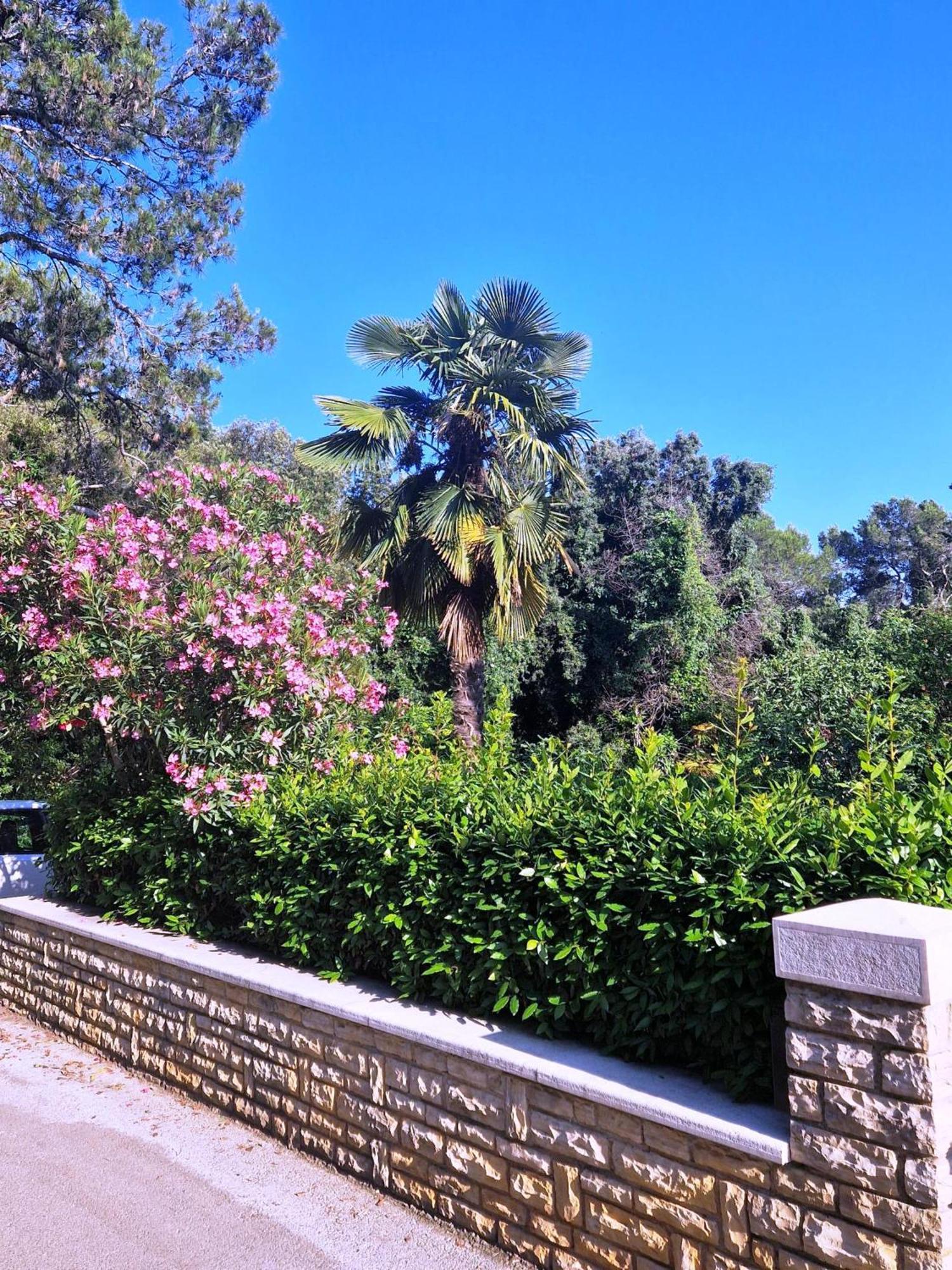 Molo View Apartment Rovinj Dış mekan fotoğraf