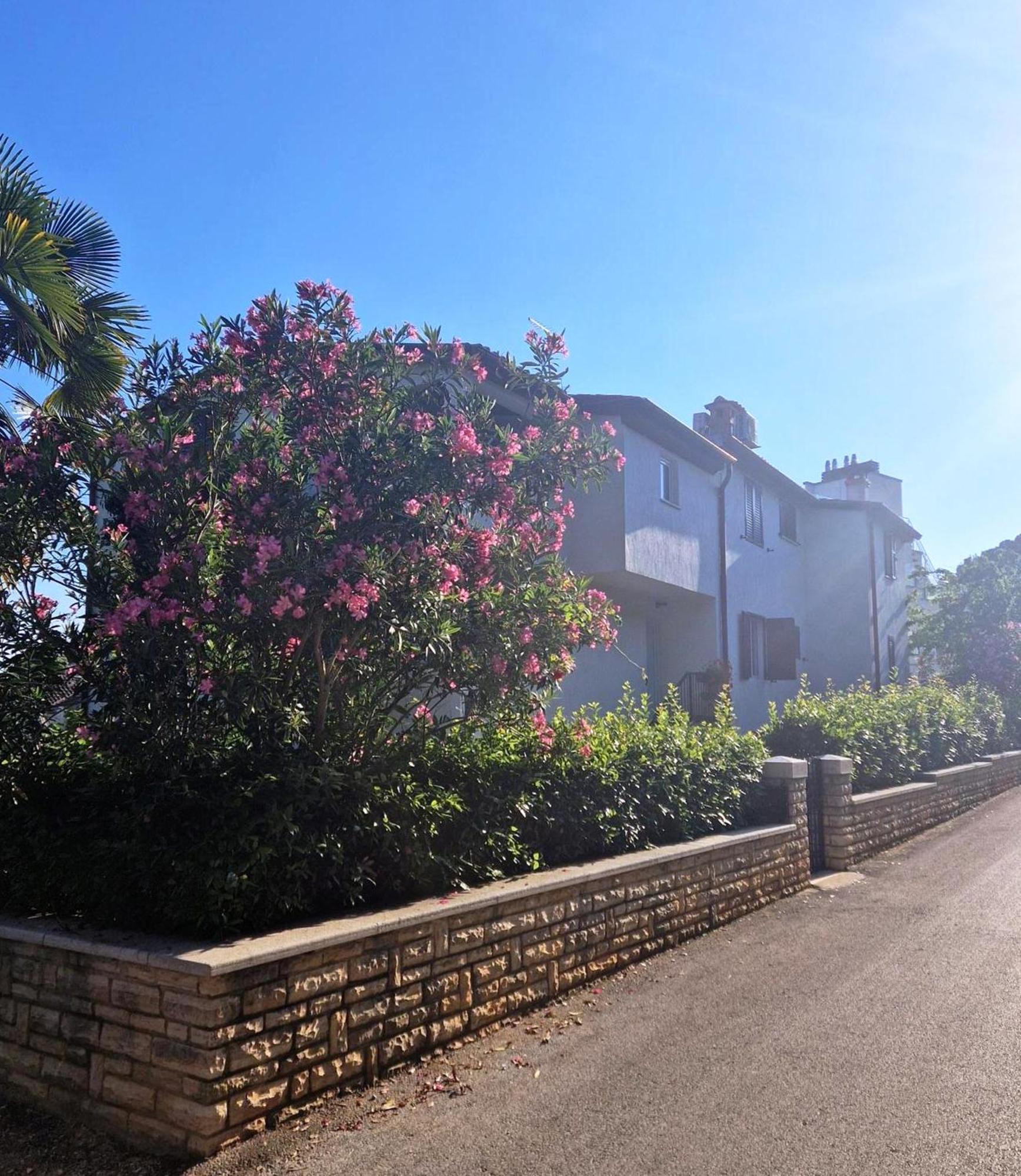 Molo View Apartment Rovinj Dış mekan fotoğraf