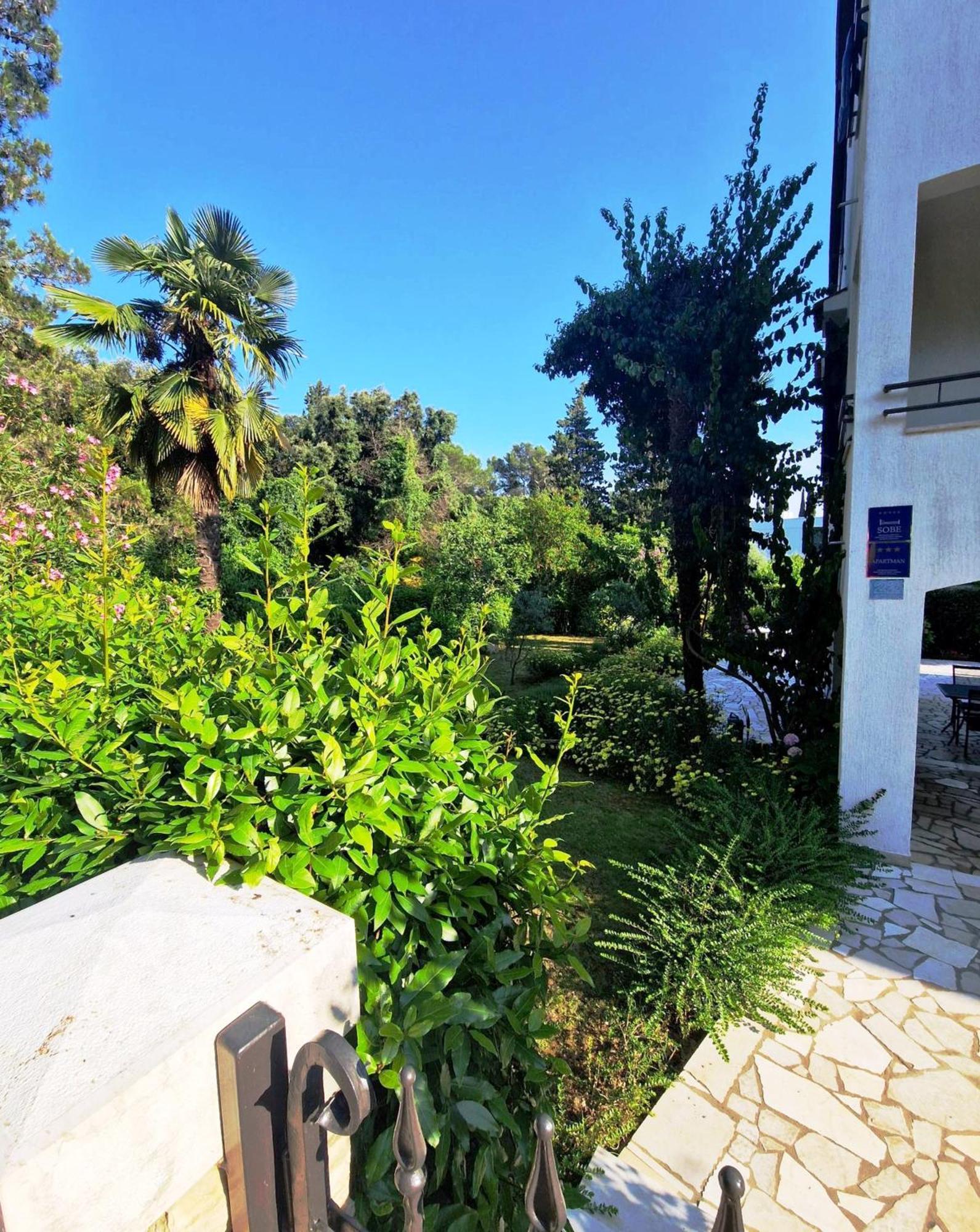 Molo View Apartment Rovinj Dış mekan fotoğraf