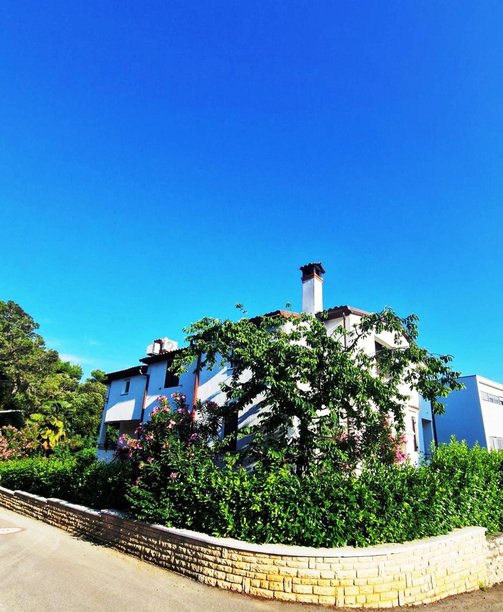 Molo View Apartment Rovinj Dış mekan fotoğraf