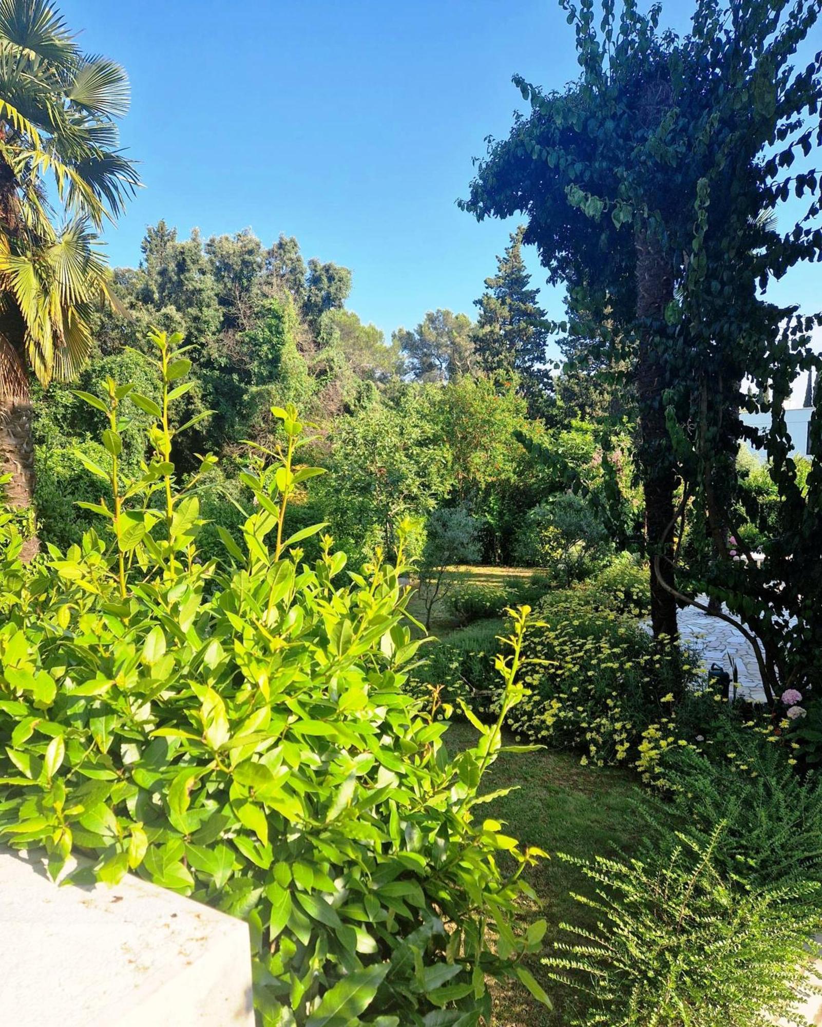 Molo View Apartment Rovinj Dış mekan fotoğraf
